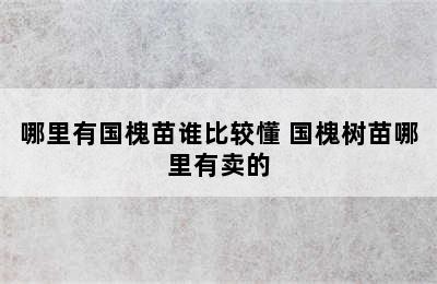 哪里有国槐苗谁比较懂 国槐树苗哪里有卖的